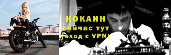 шишки Волоколамск