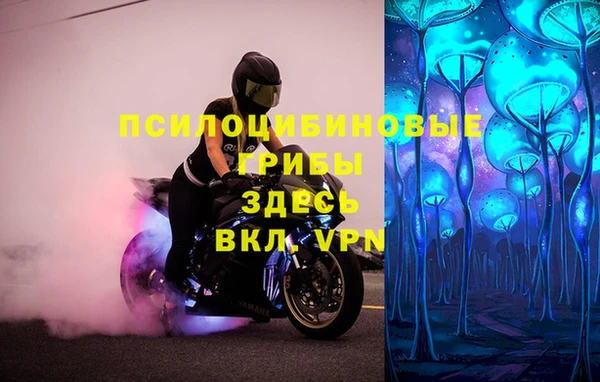 круглые Вяземский