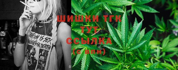 шишки Волоколамск