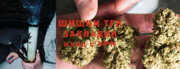 шишки Волоколамск